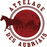 bienvenue sur le site de l'école d'attelage des Aubriais