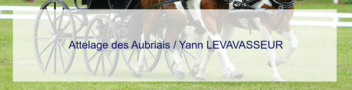 Attelage des Aubriais / Yann LEVAVASSEUR